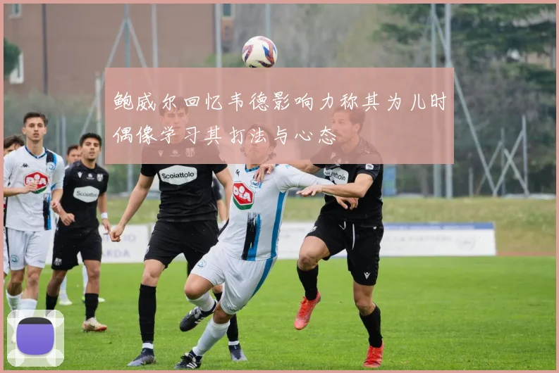 鲍威尔回忆韦德影响力称其为儿时偶像学习其打法与心态