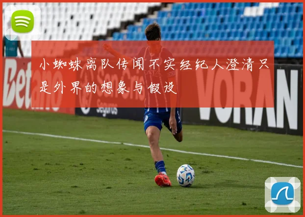 小蜘蛛离队传闻不实经纪人澄清只是外界的想象与假设