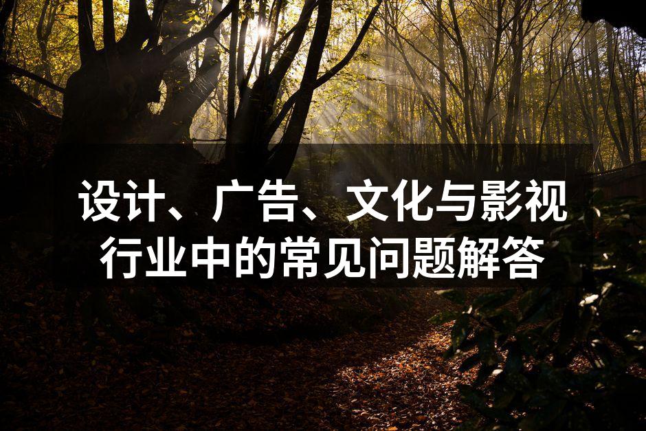 创意讨论会的热烈氛围