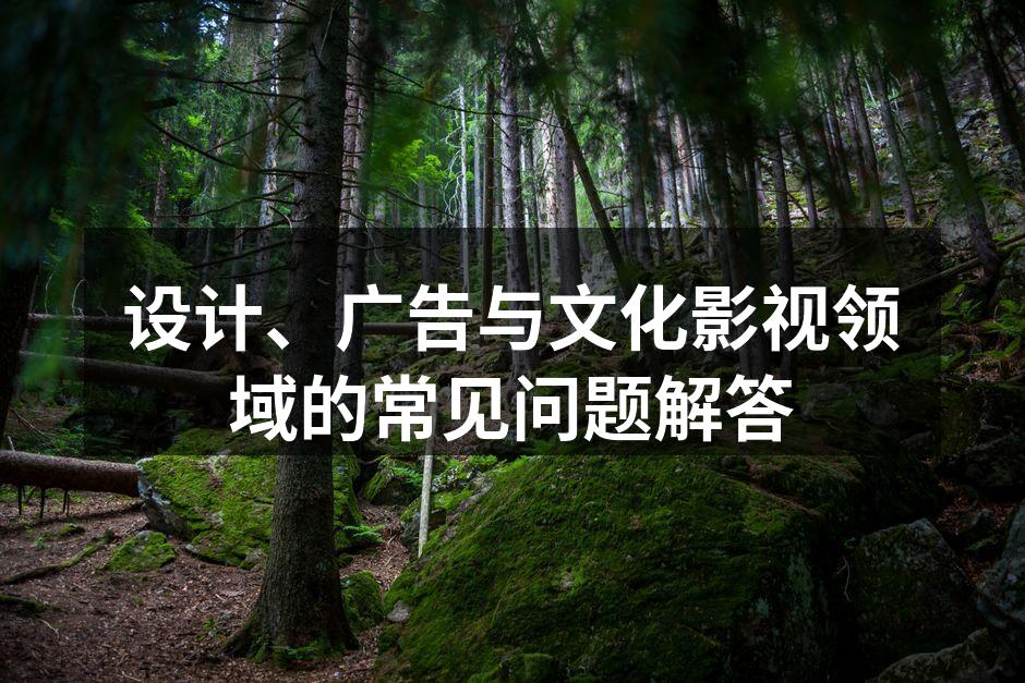 设计创意的灵感来源